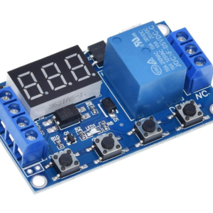 Module Relais Programmable 12V