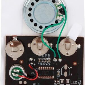 Module Audio Vocal Musique Enregistrable