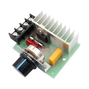 Régulateurs de tension 4000W AC 220V