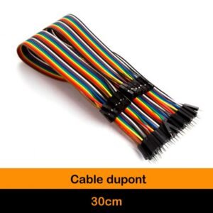 KIT DE 40 WIRES MALE-FEMELLE 30 CM PREMIUM DUPON