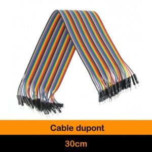 KIT DE 40 WIRES MALE-MALE 30 CM PREMIUM DUPON